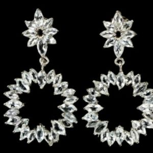 Genuine Natural Aquamarine Earrings  Z5